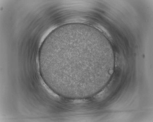 X0000074970796200609291937