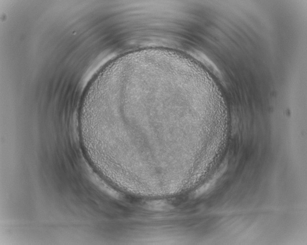 X0000074970798200609291937