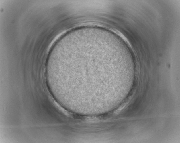 X0000074970799200609291937