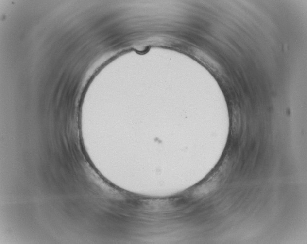 X0000074970800200609291937