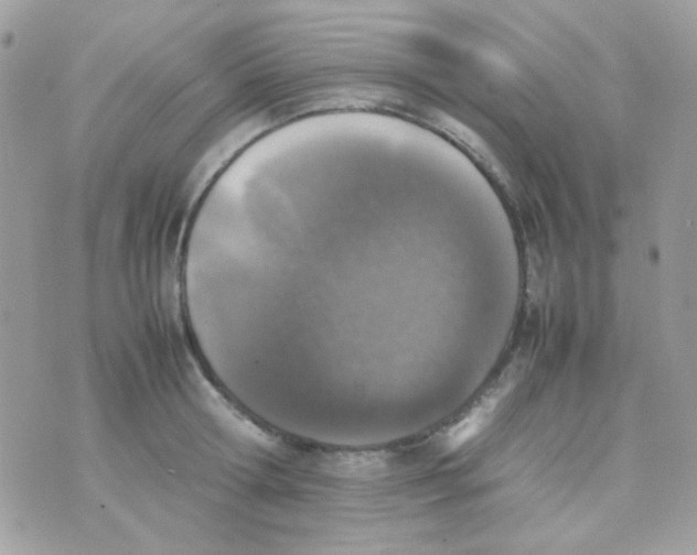 X0000074970802200609291937