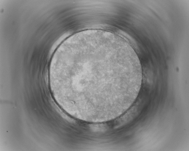 X0000074970804200609291936