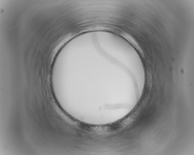 X0000074970805200609291936