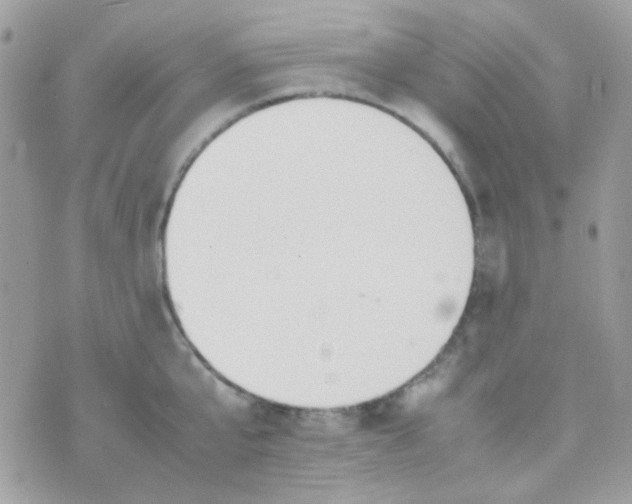 X0000074970807200609291936