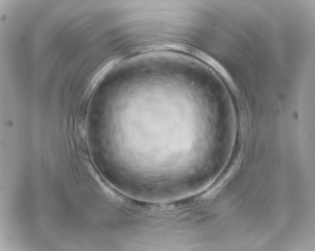 X0000074970809200609291936