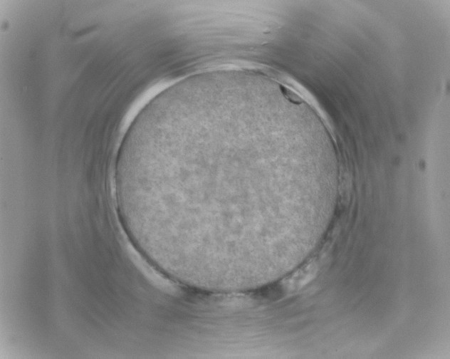 X0000074970811200609291936