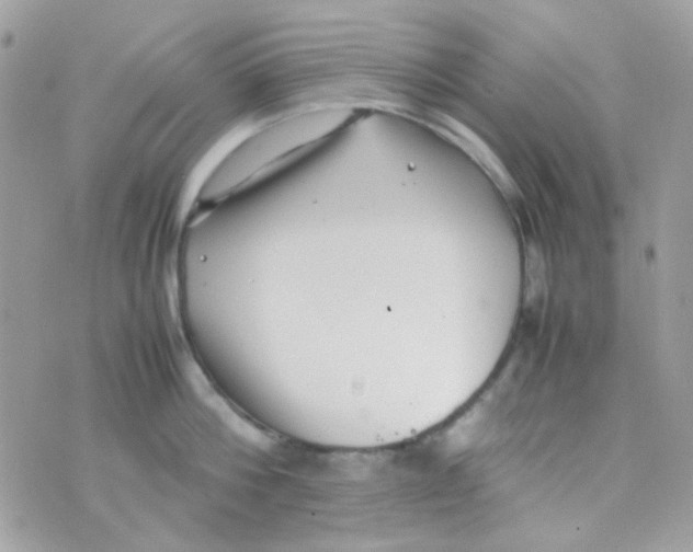 X0000074970812200609291936