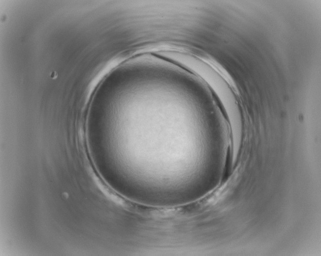 X0000074970813200609291936