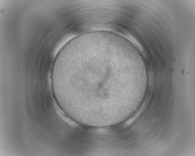 X0000074970814200609291936