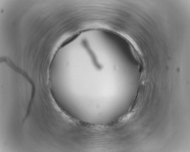 X0000074970815200609291936