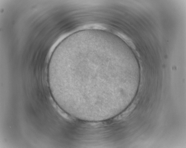 X0000074970816200609291936