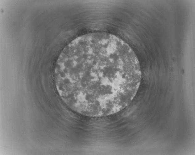 X0000074970817200609291935