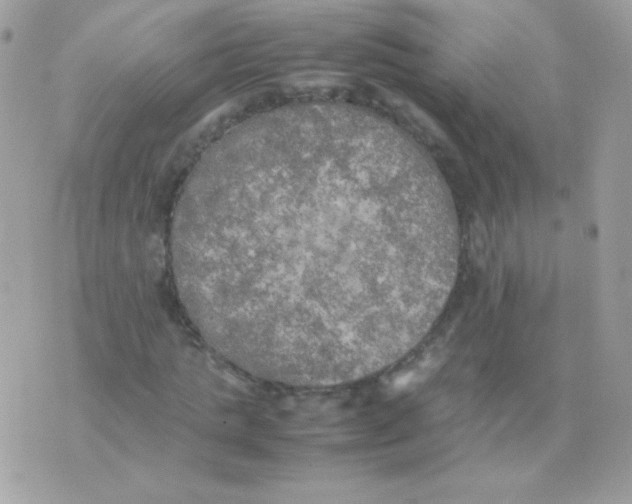 X0000074970821200609291936