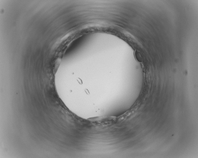 X0000074970822200609291936