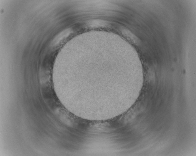 X0000074970824200609291936