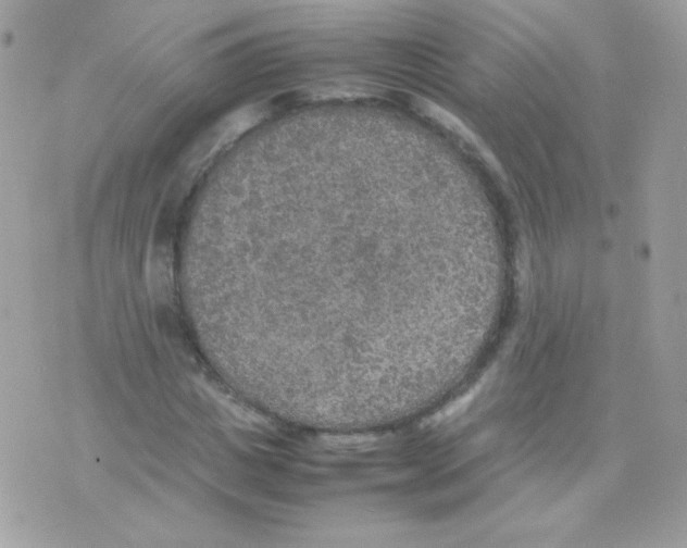 X0000074970825200609291936