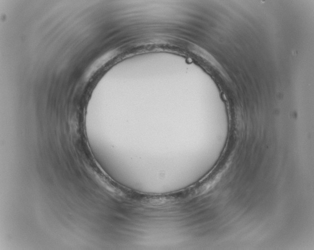 X0000074970826200609291936