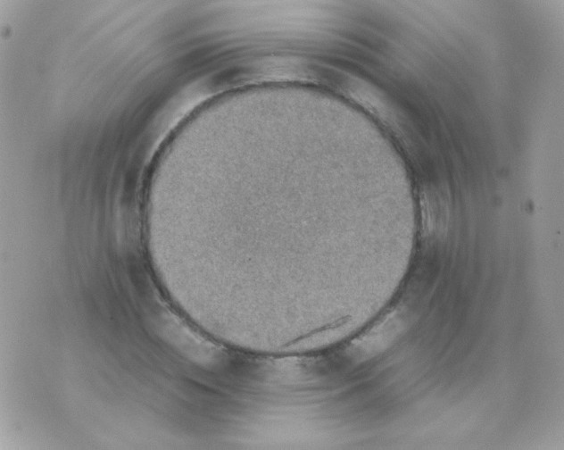 X0000074970828200609291936