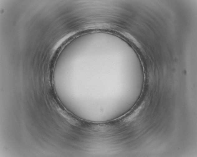 X0000074970830200609291936