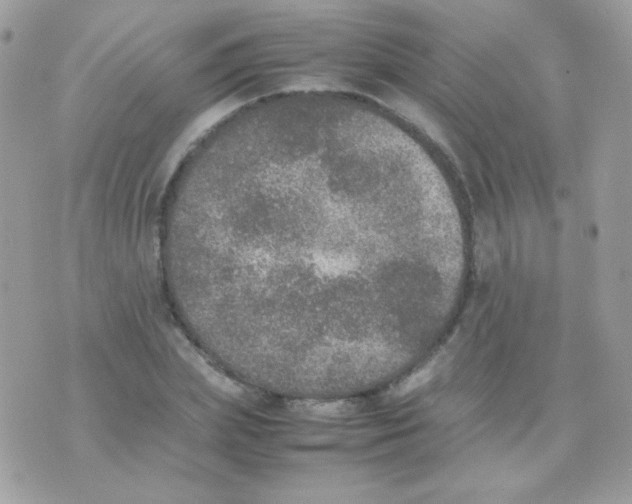 X0000074970831200609291936