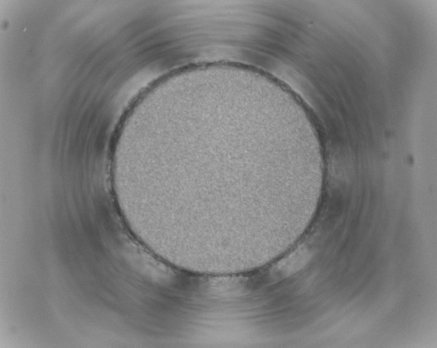 X0000074970832200609291936