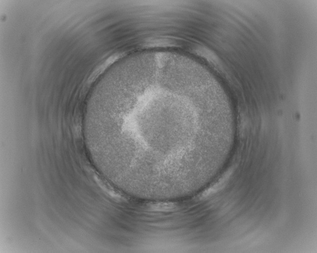 X0000074970833200609291936