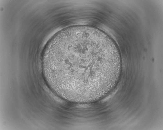 X0000074970835200609291936