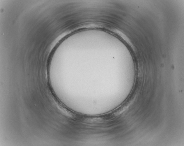 X0000074970837200609291936