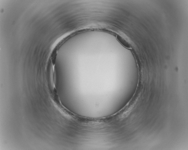 X0000074970838200609291936