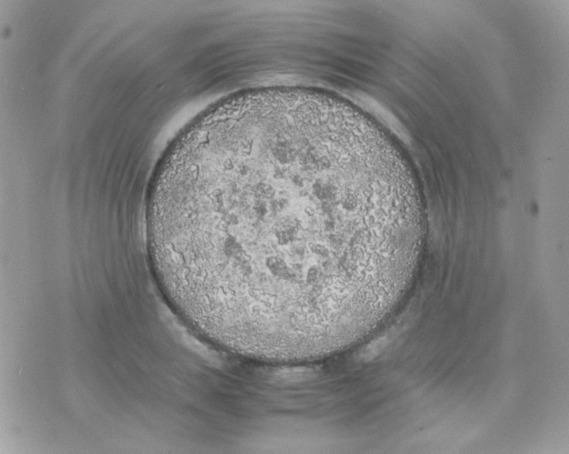 X0000074970839200609291936