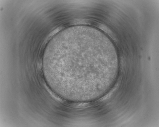 X0000074970841200609291936