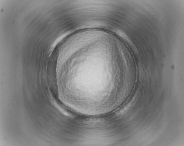 X0000074970842200609291936