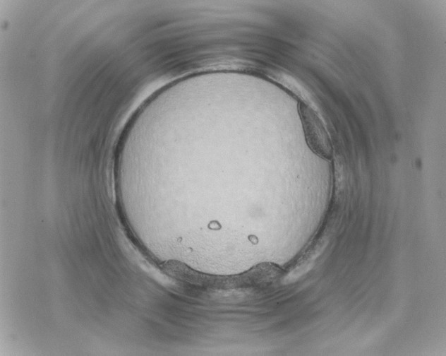 X0000074970843200609291936