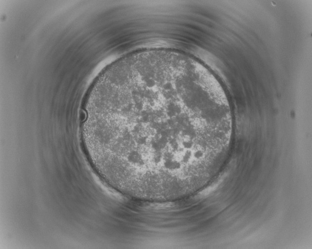 X0000074970845200609291936