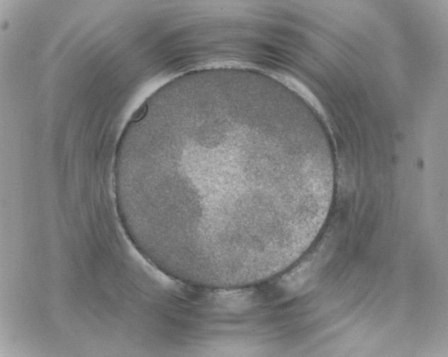 X0000074970847200609291936