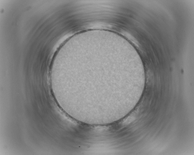 X0000074970848200609291936