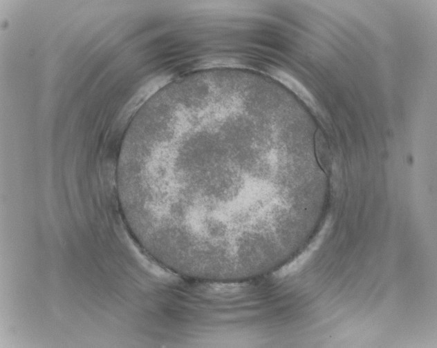 X0000074970849200609291936