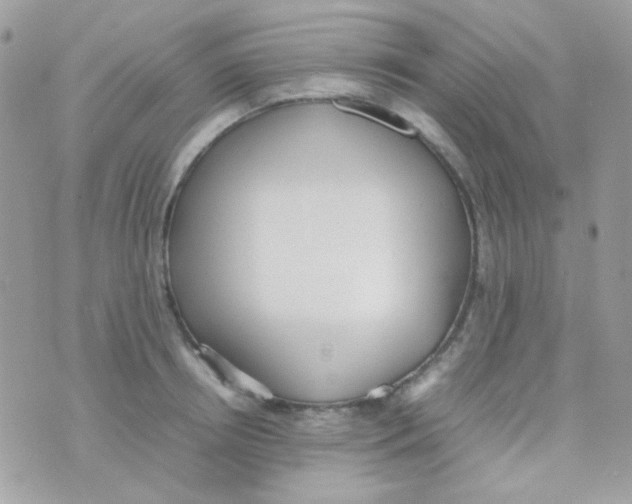 X0000074970850200609291936