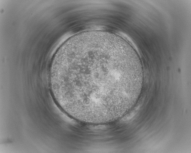 X0000074970851200609291936