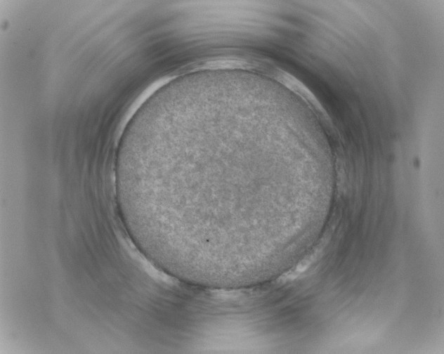 X0000074970852200609291936