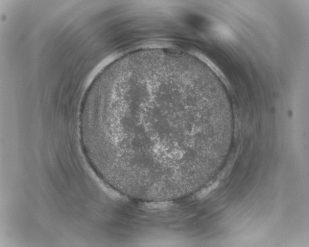 X0000074970853200609291936