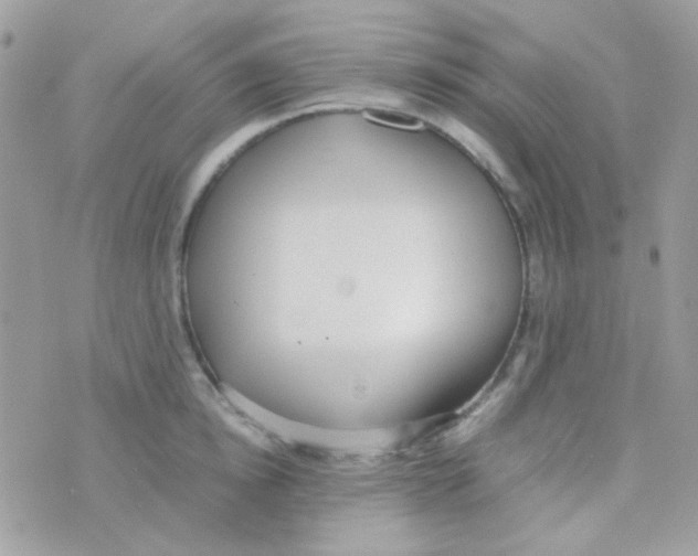 X0000074970854200609291936