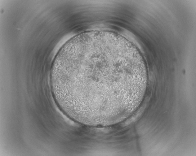 X0000074970855200609291936