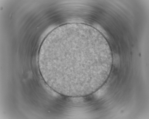 X0000074970856200609291936