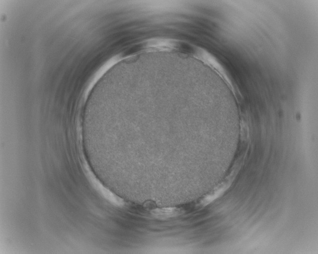 X0000074970859200609291936