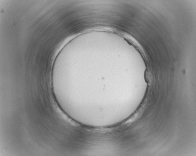 X0000074970860200609291936