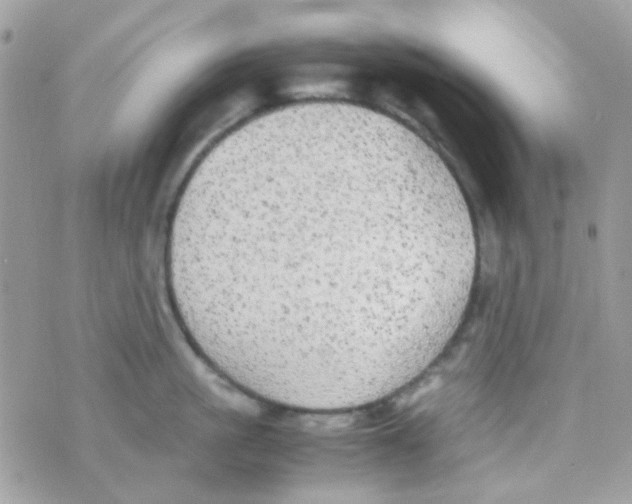 X0000074970861200609291936