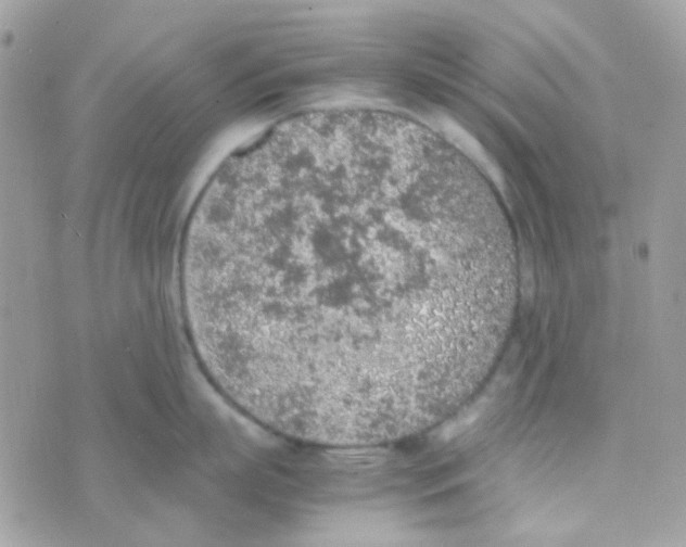 X0000074970863200609291936