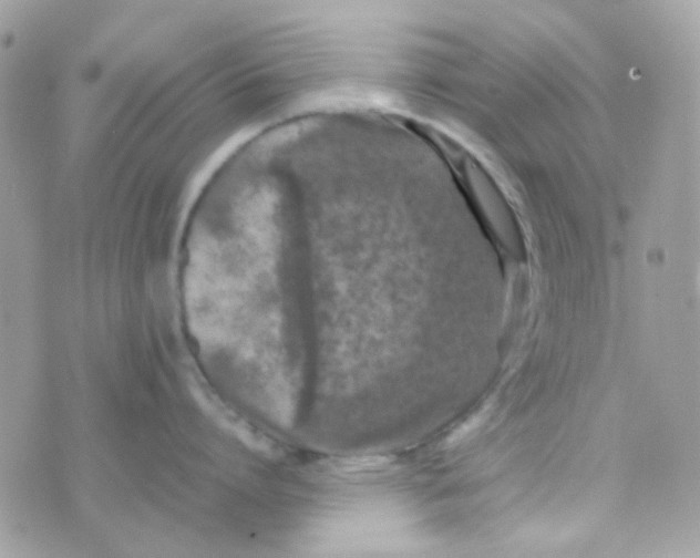 X0000074970864200609291936