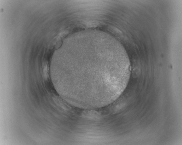 X0000074970866200609291935